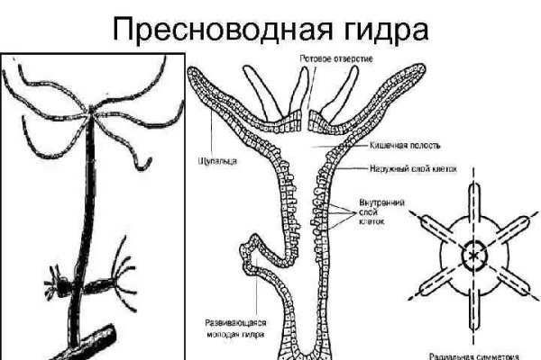 Кракен 15 ссылка