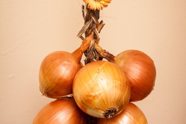 Кракен основная ссылка onion