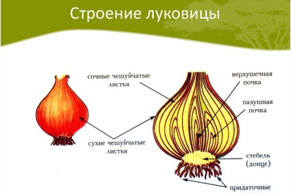 Кракен маркетплейс ссылка на сайт