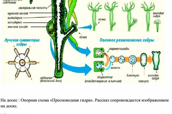 Кракен онион зеркало