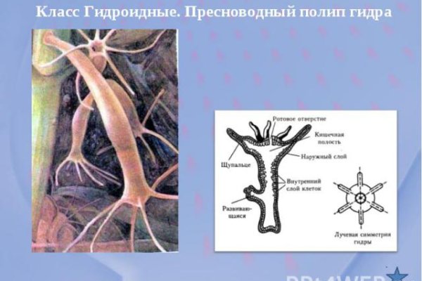 Как восстановить кракен